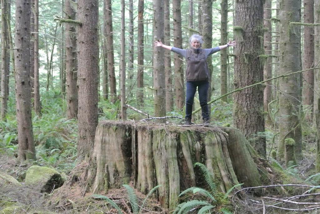 Bjorn Holm Villa Port Renfrew Exteriör bild